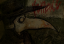 MoT_Pestilence's Avatar