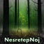 NesretepNoj's Avatar